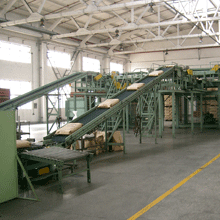 Conventional palletizer system